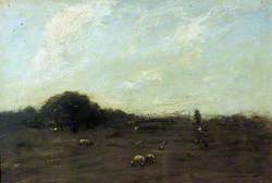Twilight Meadow